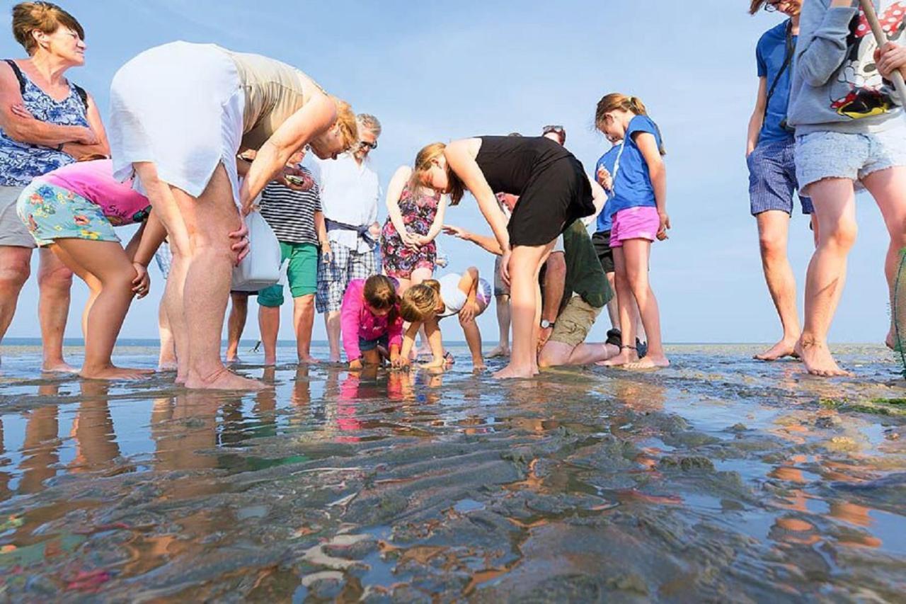 Chalet Op Camping Lauwersoog Met 3 Slaapkamers En Vaatwasser - Joycasa Ngoại thất bức ảnh