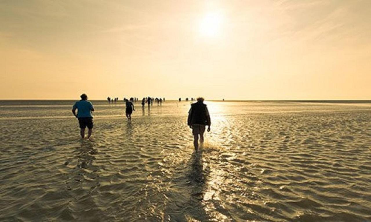 Chalet Op Camping Lauwersoog Met 3 Slaapkamers En Vaatwasser - Joycasa Ngoại thất bức ảnh